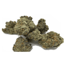 Watermelon Z - Jar - Indoor Flower