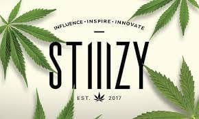 Stiiizy Curated Live Resin Sauce - Rainbow Mintz