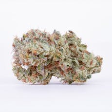 Mango Mintality | 3.5g