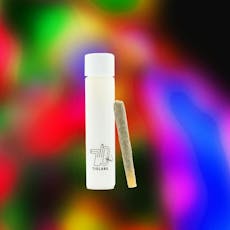 Mad Honey #31 Preroll 1g - Preroll