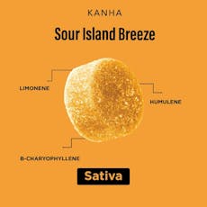 Sour Island Breeze (S) - Solventless Gummy - Sour Island Breeze (S)