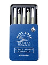 Blueberry Pancakes - 5 pk