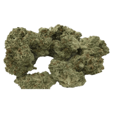 Trainwreck - Jar - Indoor Flower