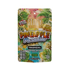 Pineapple Paradise Tropical Gummies (100MG) (10Pk)
