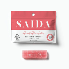 Saida Gummy Bar 100mg - Sleepy Berry / Indica 10:1 THC:CBN