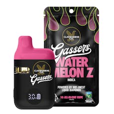 Watermelon Z Liquid Diamond AIO 1g - Watermelon Z Liquid Diamond AIO