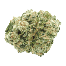 Phat Burger - Mylar Bag - Flower (Smalls)