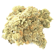 Sweet Talk - Indoor Flower