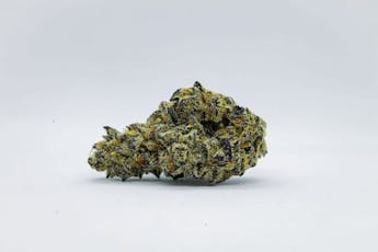 Jane Dough | 7g Mylar Bag