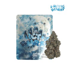 Arctic Burst - 3.5G