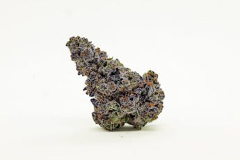 Cherry Jane | 7g Mylar Bag