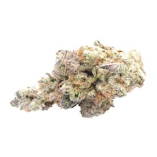 Donkey Kong Indoor (1.8g) - Sixteenth