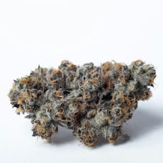 Gary Payton | 7g Mylar Bag