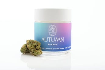 Frosted Fuel | 3.5g - SR - 181