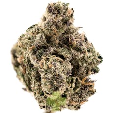 Blueberry Muffin