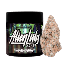 XJ-13 - Indoor - Flower