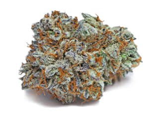 Bubba Kush 18.74% - 3.5G - Bubba Kush (I)