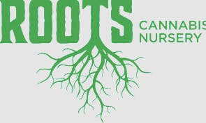 Rainbow Runtz (IH) Clone - Rainbow Runtz (IH)