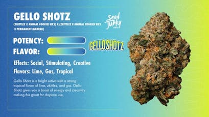 Gello Shotz | Big Buds | 3.5g