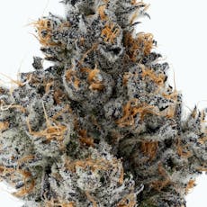 PB & Jane | 7g Mylar Bag