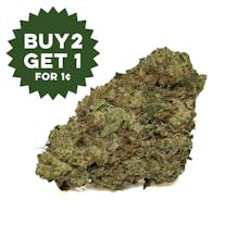 Governmint Oasis - 3.5g