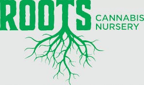 Orange 43 (IH) Clone - Orange 43 (IH)