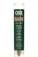 Funk Master (I) - .75g Pre-Roll - Funk Master (I)