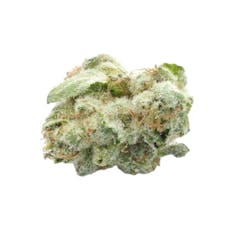 Animal Face S1 Indoor (3.5g)