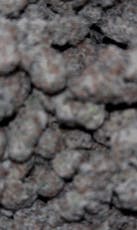 Zero gravity 3.5G indoor $35 2/$60