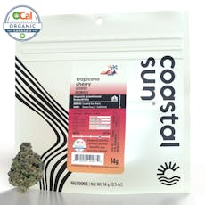Tropicana Cherry - OCal Greenhouse 14g