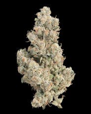 Sour Cherriez 31.31% - 3.5G *SPECIAL PRICING* - Sour Cherriez (H)