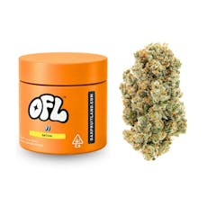 J1 | Big Buds Jar | 3.5g
