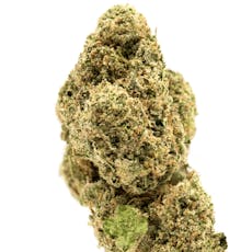 Obama RNTZ, SG (1/4oz) - Quarter