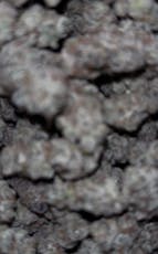 Night Crasher Indoor 3.5G $35 2/$60