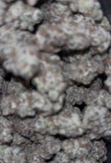 Odder popz Indoor 3.5G $35 2/$60