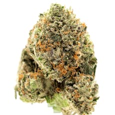 Chemdawg X OG Kush