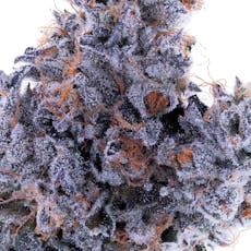 Cherry Jane (I) 30.26% - 7g*SPECIAL PRICING - Quarter