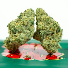 Lemon Tree 26% - 3.5G *SPECIAL PRICING* - Lemon Tree (H)