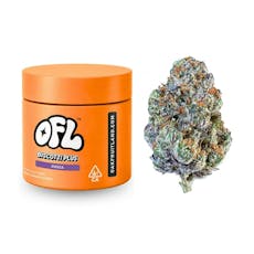Biscotti Plus | Big Buds Jar | 3.5g