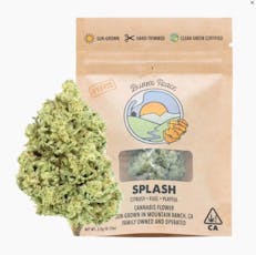 Splash - 3.5g Bigs - 3.5g - Hybrid