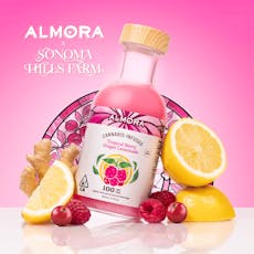 Pink Jesus Lemonade 12oz 100mg