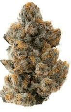 Ron Burgundy (I/H) 29% - 28g - Ounce