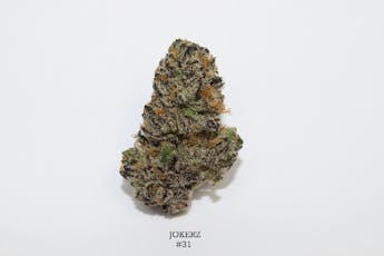 Jokerz #31 | 3.5g (Microgrow) - 3.5g