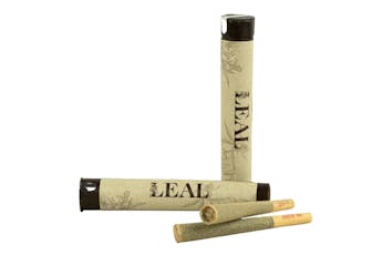 Blue Nerds | 1g Pre Roll - 1g