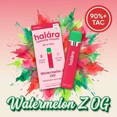 Watermelon Z | 1g | AIO - 1g