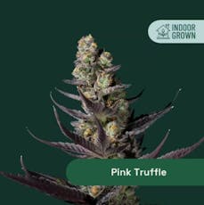 The Botanist - Pink Truffle - Flower - 14g - 14g