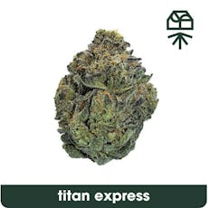 Grassroots - Titan Express - Flower - 14g - 14g