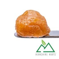 Berkshire Roots Orange Chemeleon (S) Live Badder | 1g - 1g