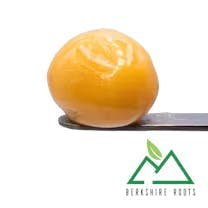 Berkshire Roots Trop Cherry (S) Live Badder | 1g - 1g