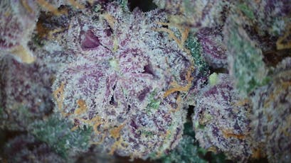 Cosmic Krisp